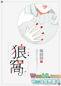 狼窝类似的小说